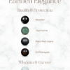 A men's and women's crystal bracelet for confidence and clear communication, featuring earthen-toned Agate stones.